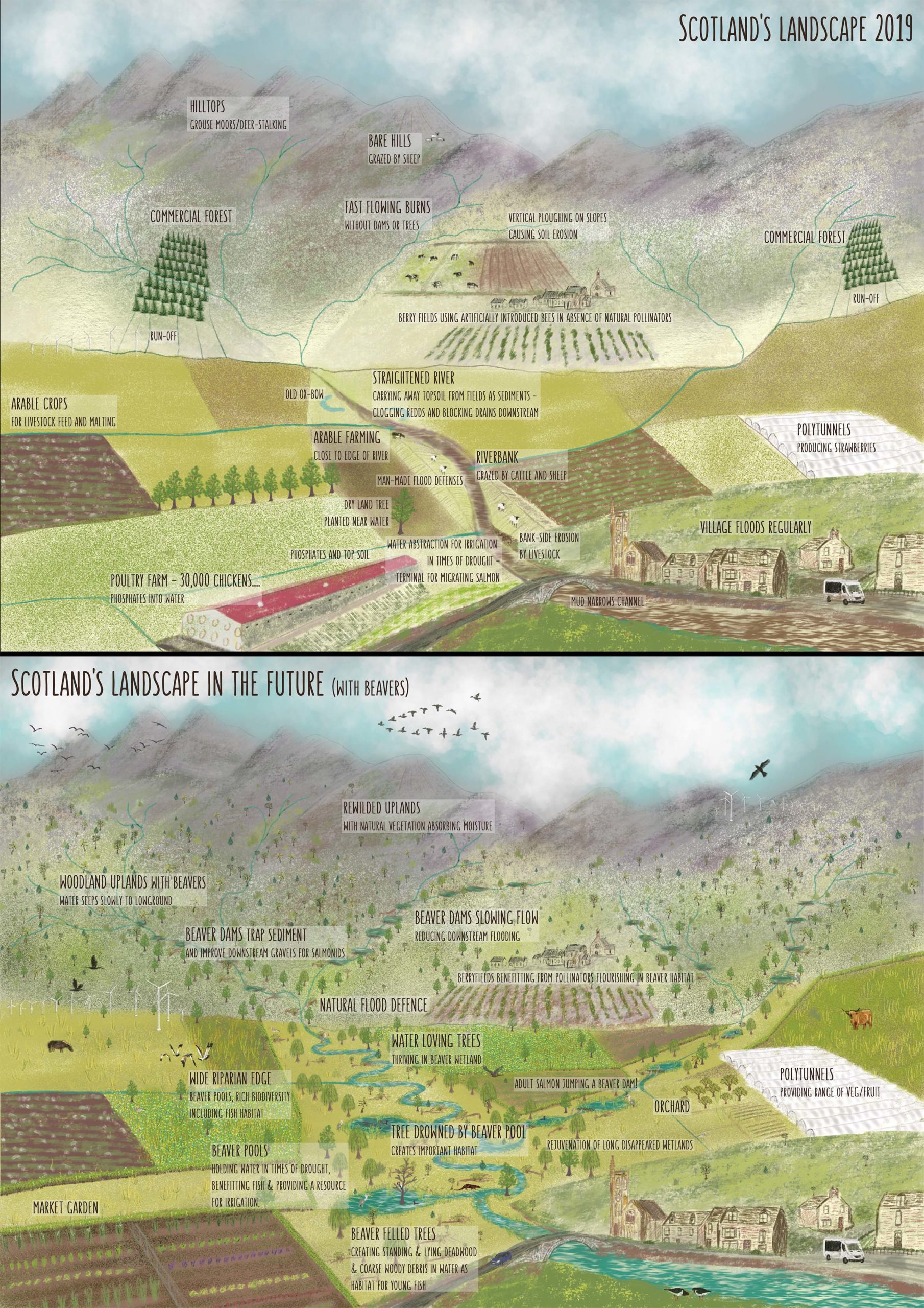 poster from 2019 of rewilding in Scottish uplands