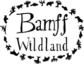 Bamff Wildland